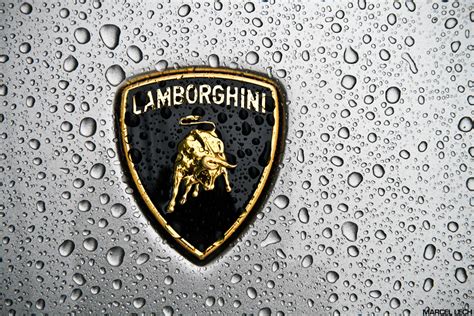History Of All Logos All Lamborghini Logos