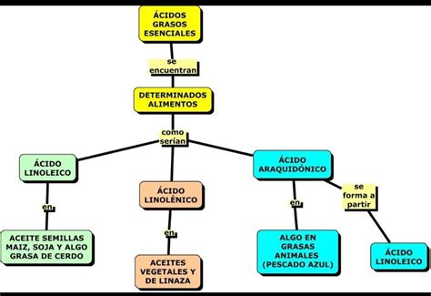 Mapa Conceptual De ácidos Y Bases