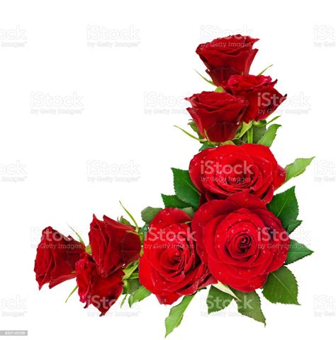Red Rose Flowers Corner Arrangement Stock Photo Download Image Now