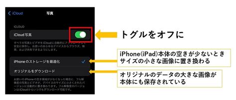 Icloud写真をオフにし「iphoneから削除」するとicloudとiphoneの写真はどうなる？ インフォコネクト株式会社