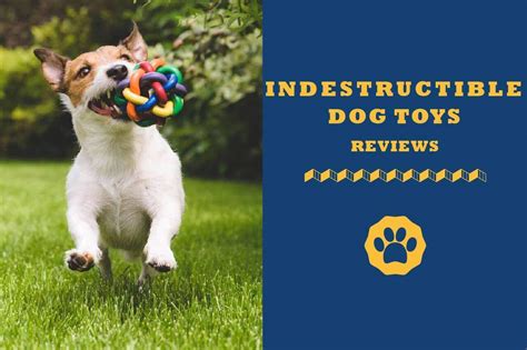 5 Best Indestructible Dog Toys For All Kinds Of Chewers 2023 Edition