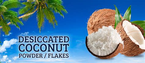 Geewin Exim Desiccated Coconut Powder Wholesale Exporters Suppliers