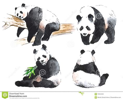 Pandas Cartoons Illustrations And Vector Stock Images 2806 Pictures To