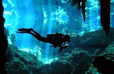 Scuba Cenote Diving Rivira Maya Cancun Riviera Maya Mexico Riviera