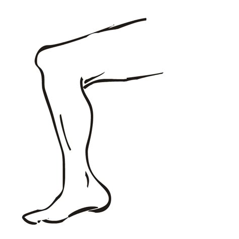 Outline Of A Body Free Download On Clipartmag