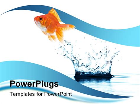 Powerpoint Template A Beautiful Fish And A Water Splash With Clear