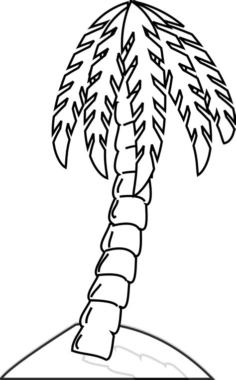 Free Palm Leaf Clipart Black And White Download Free Palm Leaf Clipart Black And White Png