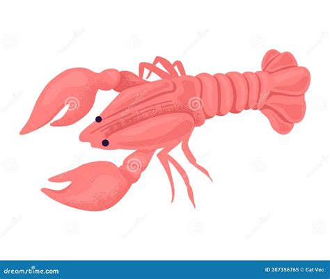 Ocean Lobster Ocean Animal Fresh Pink Crayfish Flat Vector