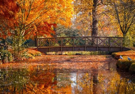 When Is The Best Time To See Autumn Leaves In The Uk