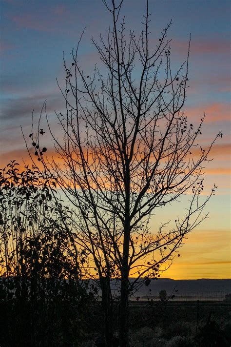 Kallie Shawcroft Photography, pink sunsets, purple sunsets, silhouettes, Colorado Sunsets ...