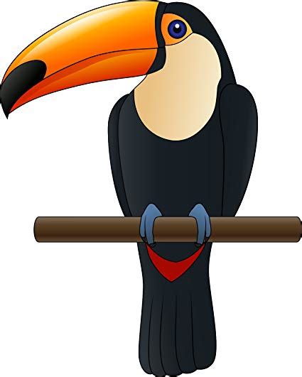 Toucan Clipart Rainforest Toucan Toucan Rainforest Toucan Transparent