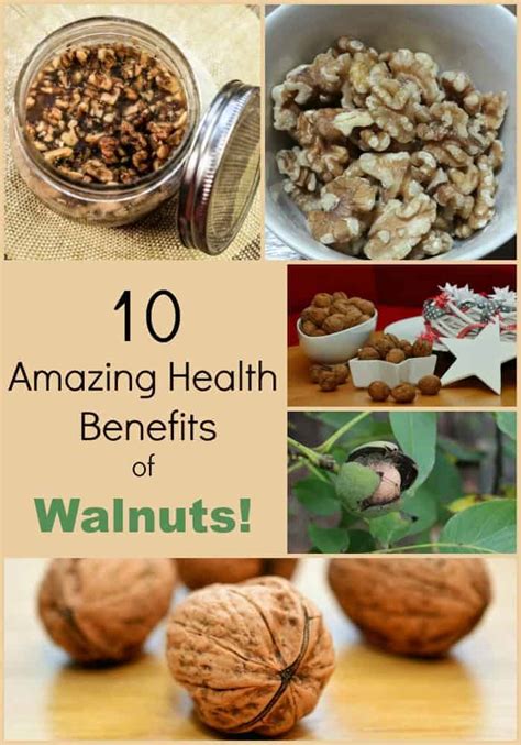 I turn 50 next week. 10 Health Benefits of Eating Walnuts- Turning the Clock Back