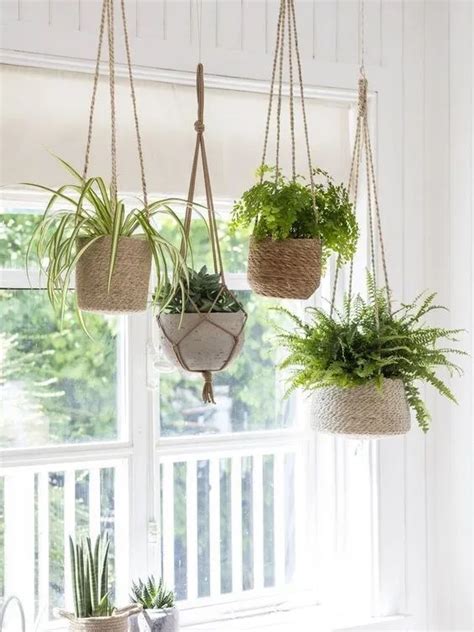 40 Beautiful Hanging Plants Ideas For Home Decor Hanging Potted