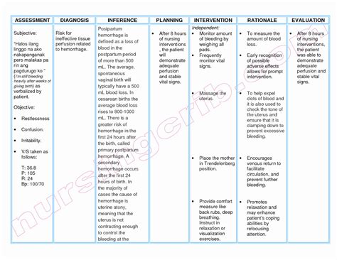 Examples Of Nursing Care Plans Example Document Template Anatomia Y Fisiologia