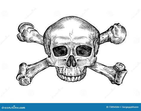 How To Draw Skull And Crossbones Catchroll