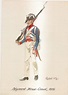 Assia-Kassel fanteria 1806 | Napoleonic wars, Uniform, Hesse