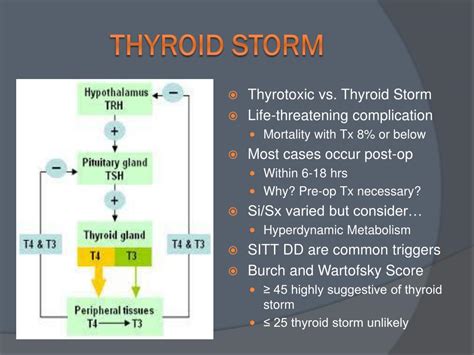 Ppt Thyroid Storm Powerpoint Presentation Free Download Id1867468