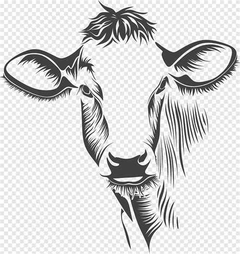 Black Cattle Art Holstein Friesian Cattle Charolais Cattle Gelbvieh
