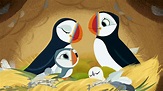 Kidscreen » Archive » Puffin Rock premieres, gets second-season order
