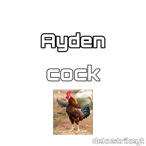ayden cock r bozhouse