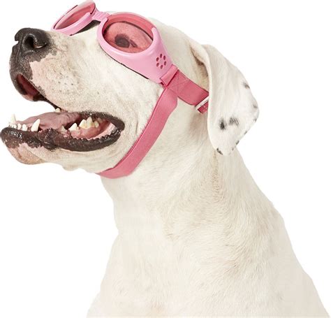 Doggles Ils Dog Goggles Gray Large Dog Goggles Dogs