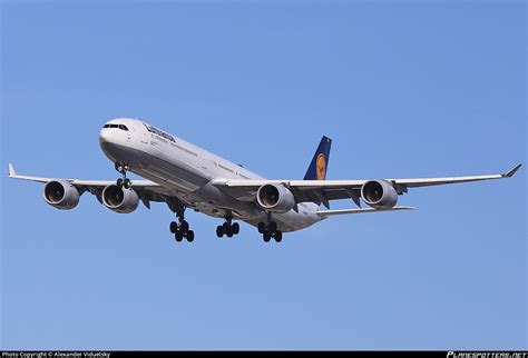 D Aiha Lufthansa Airbus A340 642 Photo By Alexander Viduetsky Id