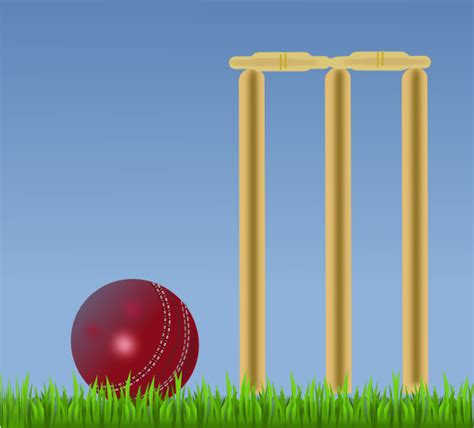 Cricket Illustration Clip Art At Vector Clip Art Online