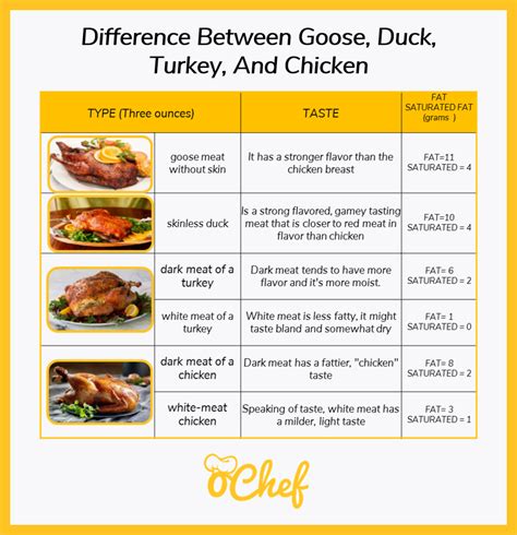 Difference Between Goose Duck Turkey And Chicken