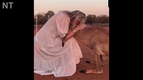 Kangaroo Hugs Woman Kangaroo That Loves Being Hugged Youtube