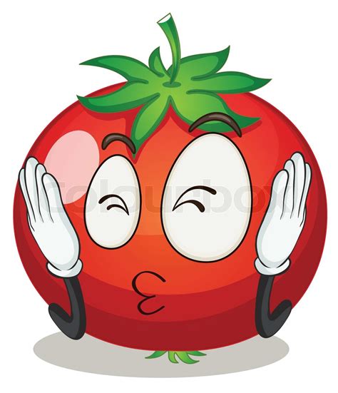 tomat | Stock vektor | Colourbox
