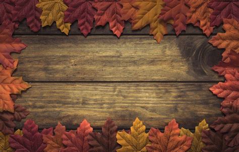 Fall Wood Wallpapers Top Free Fall Wood Backgrounds Wallpaperaccess