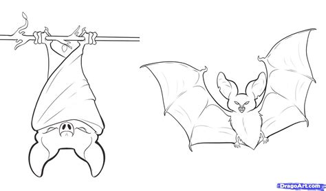 How To Draw Bats By Dawn Bat Coloring Pages Bat Art Animal Coloring