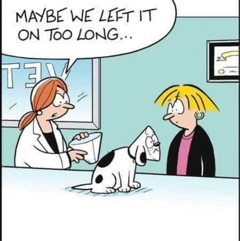Pin By Ralphup On Animal And Pet Humor Dog Humor Cartoon Funny