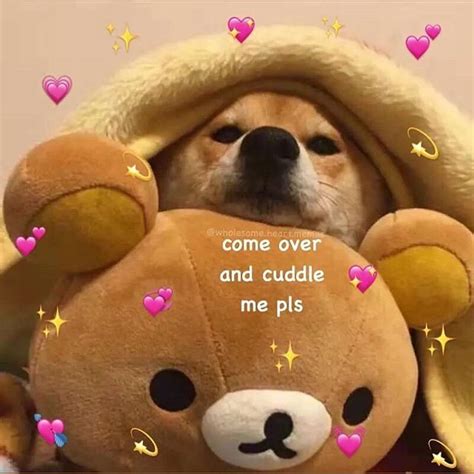 Like If U Will Cuddle With Puppy Cute Memes Cute Love Memes