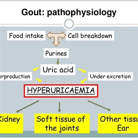 Flow Chart Of Gout Pathophysiology Download Scientific Diagram