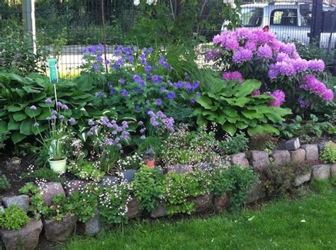 Can tolerate and penumbra, but then blossoms worse. staudenbeet rosa | Tipps für Staudenbeet im Halbschatten ...