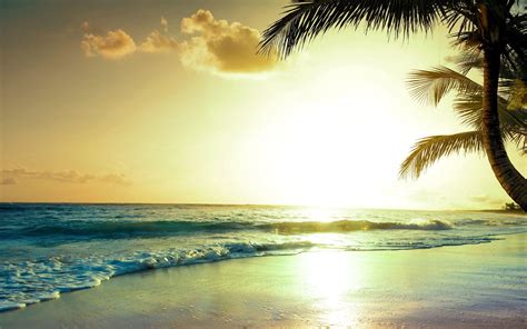 Tropical Beach Sunset Wallpapers Top Free Tropical Be