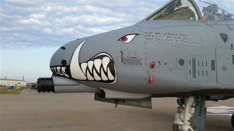 A 10 Nose Art Nose Art Shark Art Da Plane