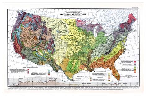 Map World Poster Topographic Map Of Usa With States Images