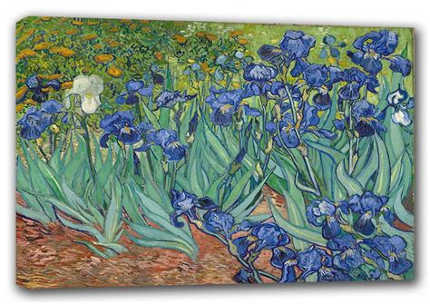 Van Gogh Vincent Irises 1889 Fine Art Canvas Sizes A3 A2 A1 0090