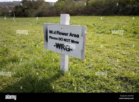 Wildflower Area Sign Please Do Not Mow Winchcombe Rewilding Campaign Uk
