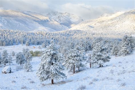 October Snow Beaver Meadows Rocky Mountain National Park Images Of
