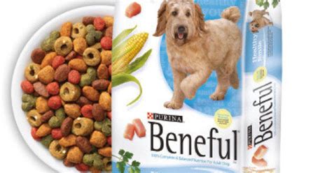 Purina Beneful Dog Food Blamed For Thousands Of Dog Deaths Huffpost Life