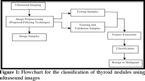 Figure 1 From Classification Of Thyroid Nodules Using Ultrasound Images