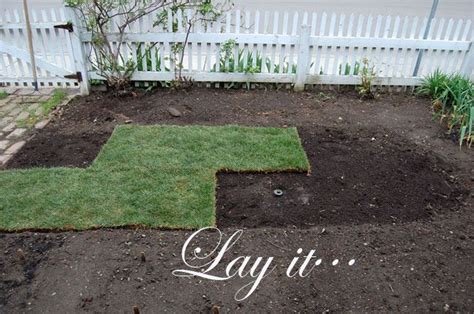 How To Lay Sod For A Beautiful Lawn How To Lay Sod Diy Lawn Sod