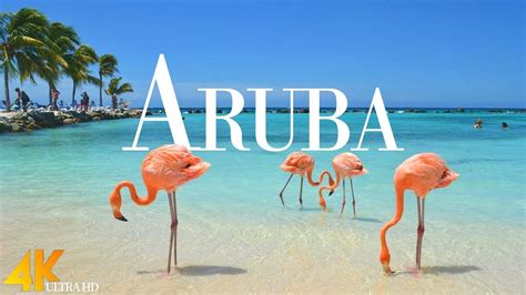 Aruba Island 4k Ultra Hd Stunning Footage Aruba Relaxation Film With
