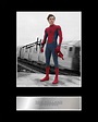 Tom Holland Signed Mounted Photo Display Spider-Man #05 Printed ...