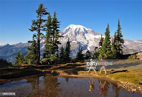 Parque Nacional Del Monte Rainier Fotografías E Imágenes De Stock