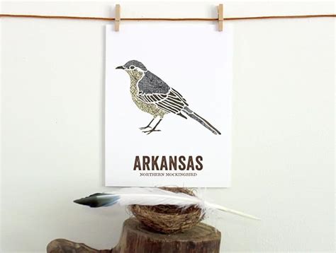 Arkansas State Bird Nature Art Outdoor Art Vintage Map