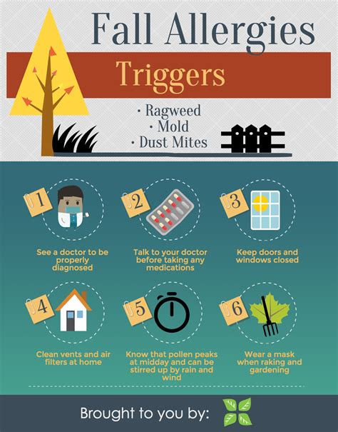 Fall Allergies Triggers And Tips